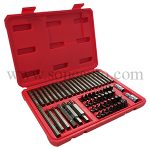 2. 61 Pcs Professional Bits Set 10mm (BESITA) (6310S)