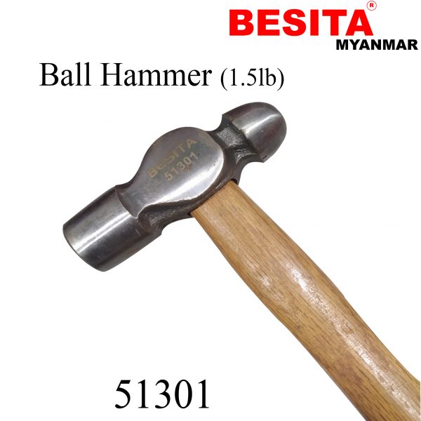 51301